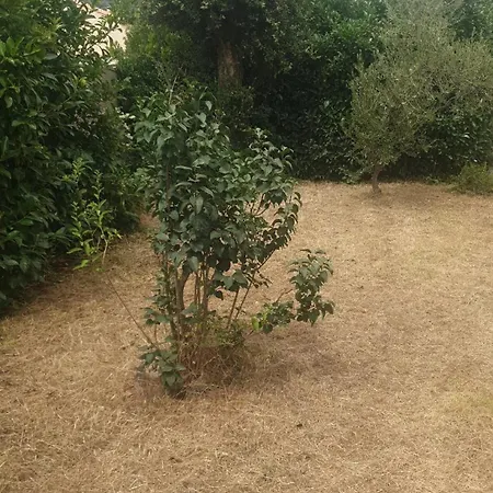 Lina 6 Pers Plages Et Rivieres *