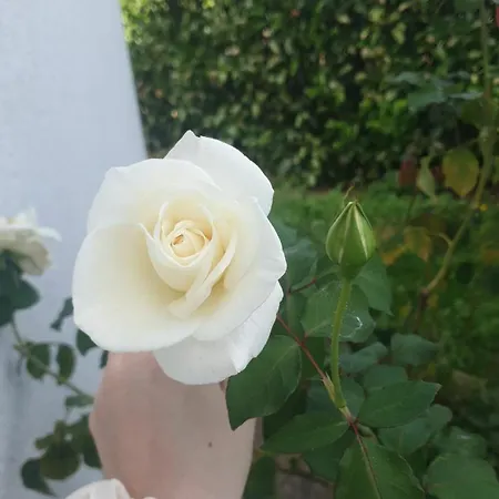 Dom wakacyjny Lina 6 Pers Plages Et Rivieres *