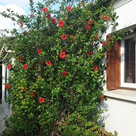 Feriehus Lina 6 Pers Plages Et Rivieres *