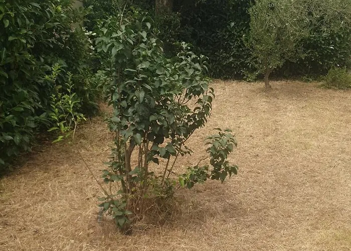 Lina 6 Pers Plages Et Rivieres *