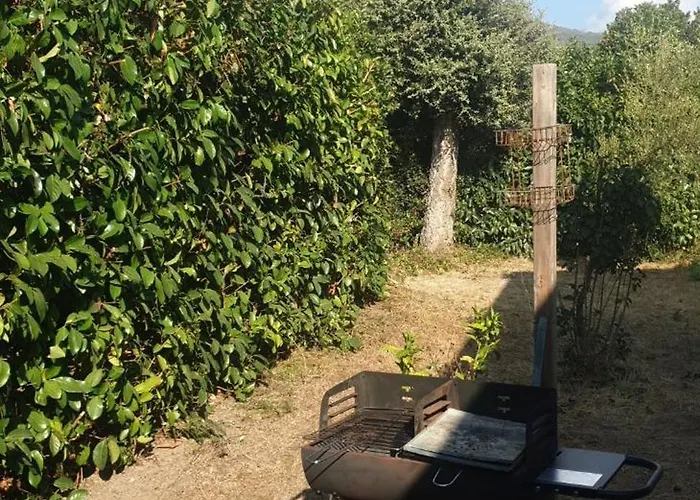 Lina 6 Pers Plages Et Rivieres Vakantiehuis *