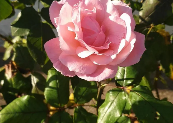 Lina 6 Pers Plages Et Rivieres Prunelli-di-Fiumorbo