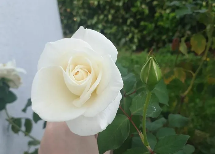 Tatil Evi Lina 6 Pers Plages Et Rivieres *