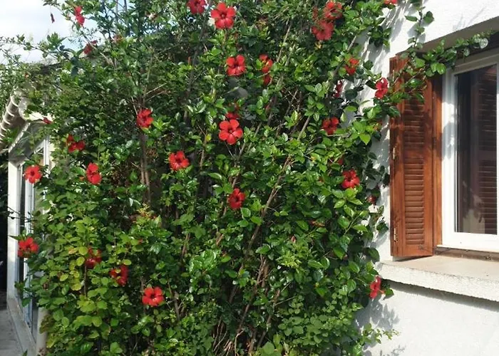 Tatil Evi Lina 6 Pers Plages Et Rivieres *